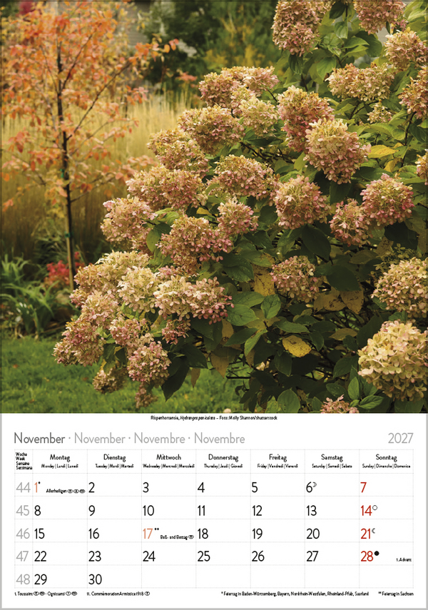 Bl&uuml;tenzauber 2027, Innenansicht #11