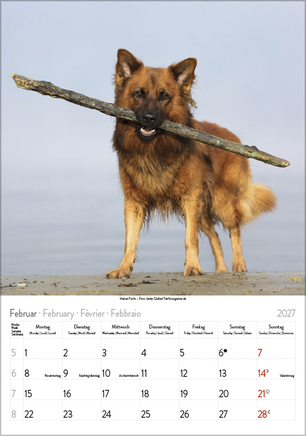 Hunde 2027, Innenansicht #2