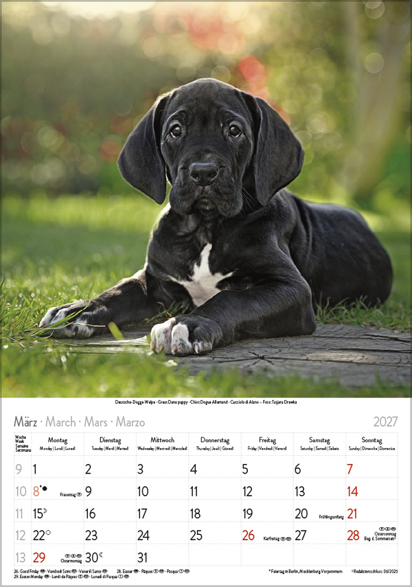 Hunde 2027, Innenansicht #3