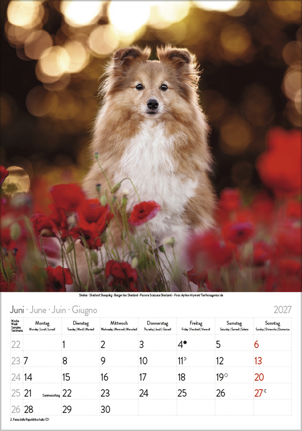 Hunde 2027, Innenansicht #6