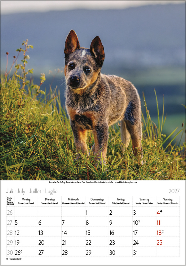 Hunde 2027, Innenansicht #7