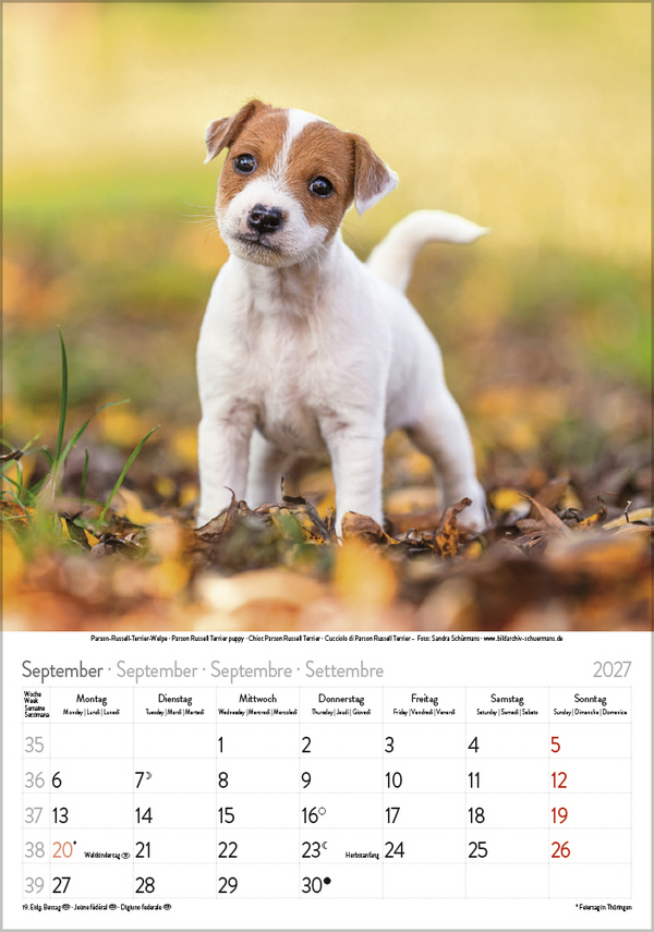 Hunde 2027, Innenansicht #9