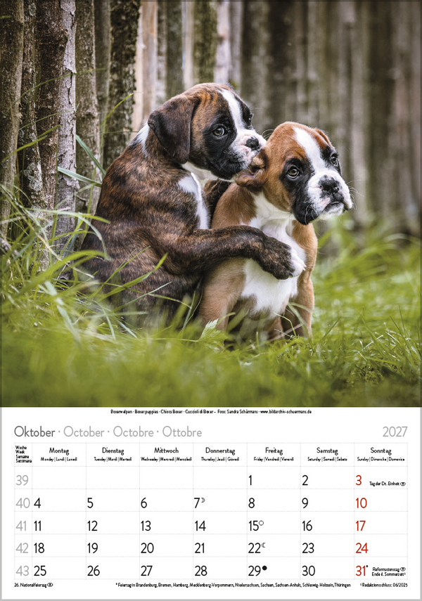 Hunde 2027, Innenansicht #10