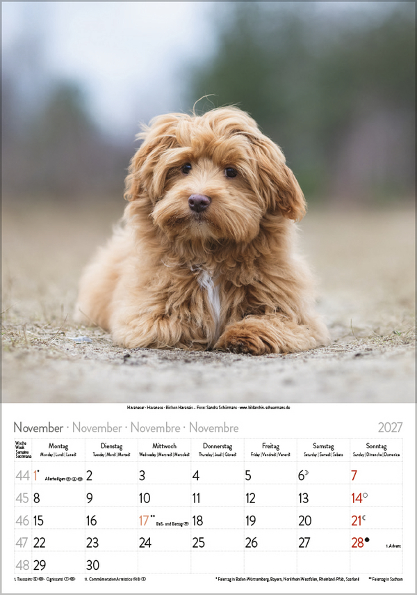 Hunde 2027, Innenansicht #11