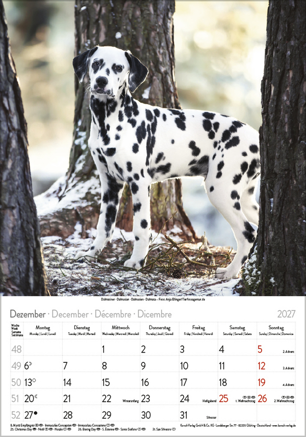 Hunde 2027, Innenansicht #12