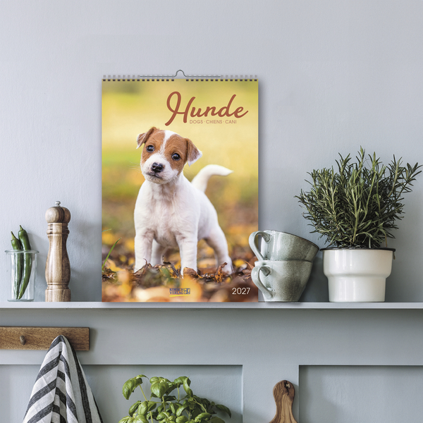 Hunde 2027, Innenansicht #16