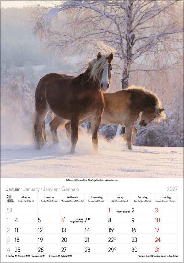 Pferde 2027, Innenansicht #1