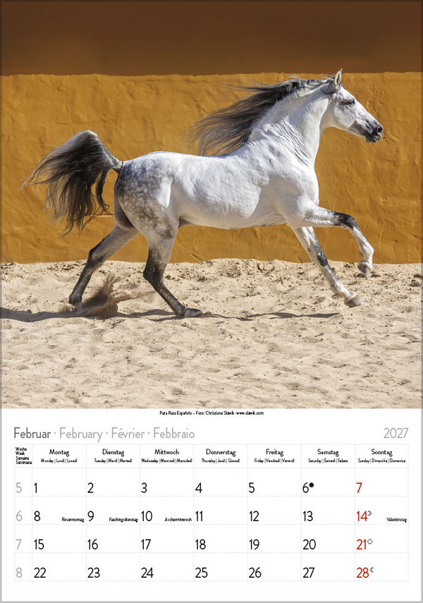 Pferde 2027, Innenansicht #2