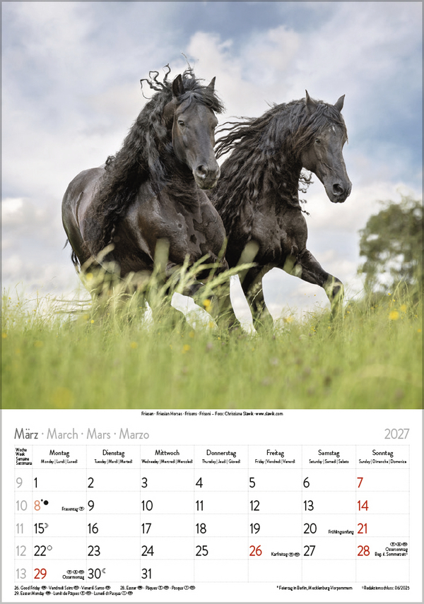 Pferde 2027, Innenansicht #3