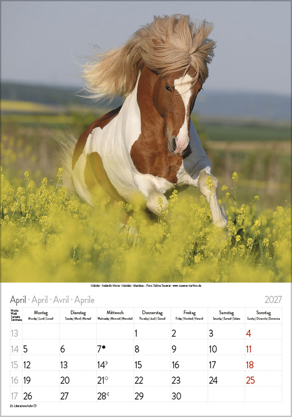 Pferde 2027, Innenansicht #4