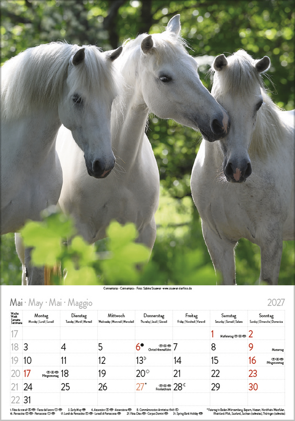 Pferde 2027, Innenansicht #5