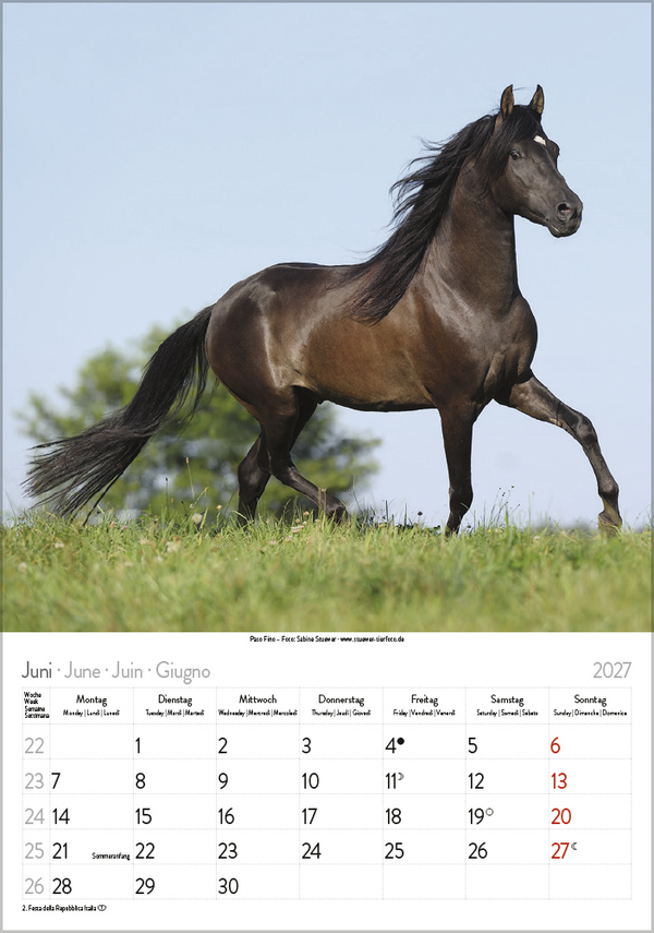 Pferde 2027, Innenansicht #6