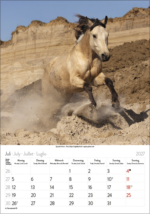 Pferde 2027, Innenansicht #7