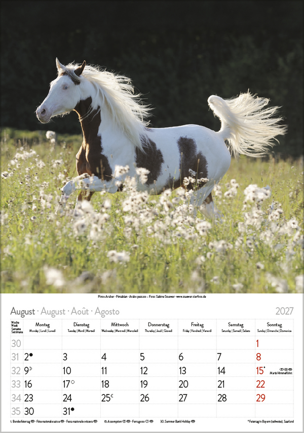 Pferde 2027, Innenansicht #8