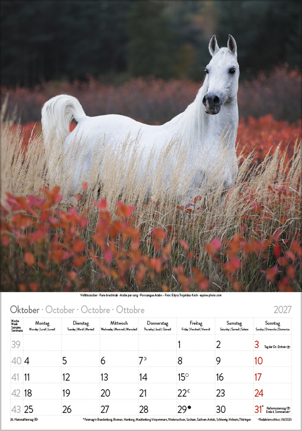 Pferde 2027, Innenansicht #10