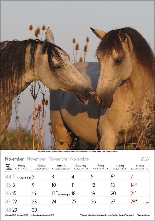 Pferde 2027, Innenansicht #11