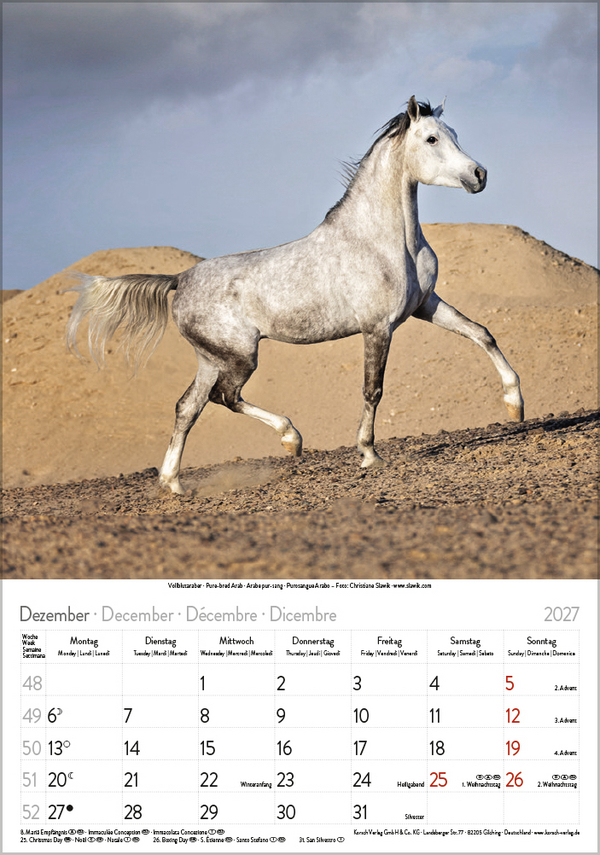 Pferde 2027, Innenansicht #12