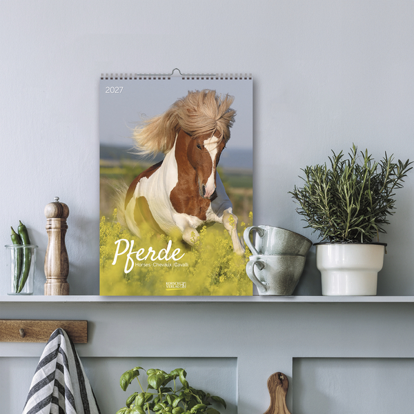 Pferde 2027, Innenansicht #16