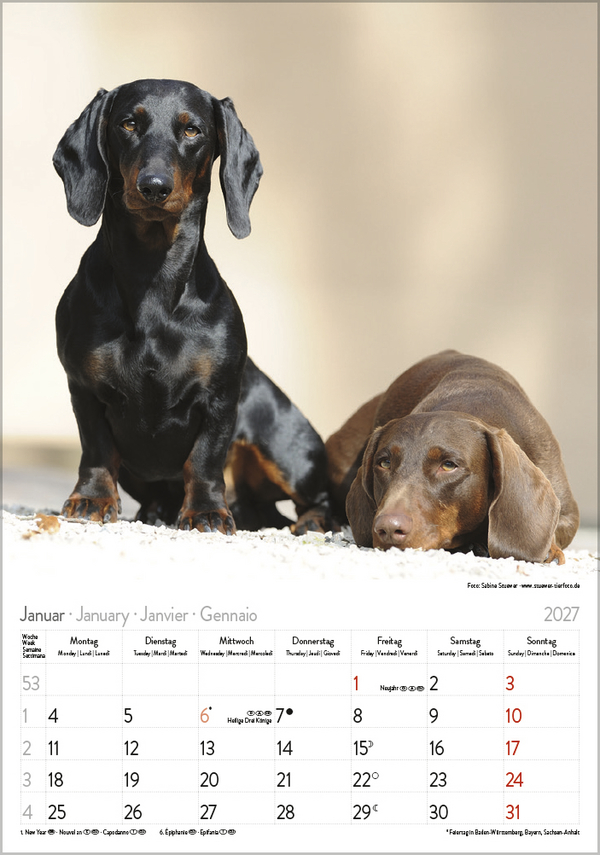 Dackel 2027, Innenansicht #1