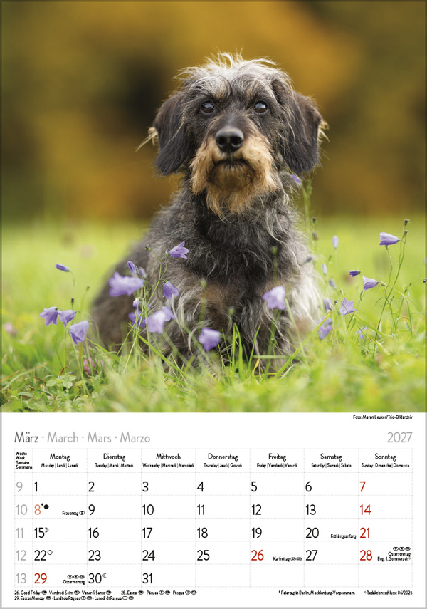 Dackel 2027, Innenansicht #3