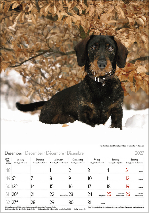 Dackel 2027, Innenansicht #12