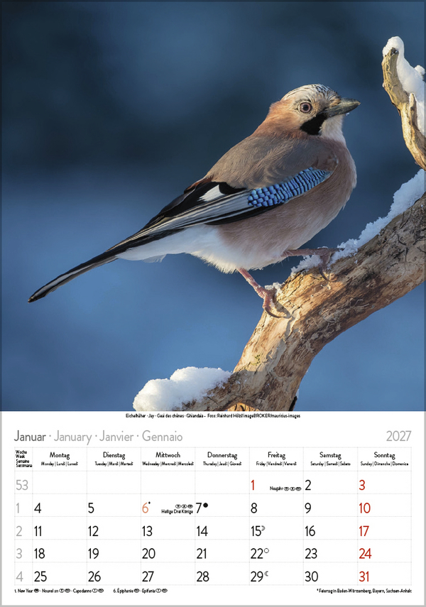 V&ouml;gel 2027, Innenansicht #1