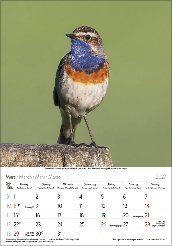 V&ouml;gel 2027, Innenansicht #3