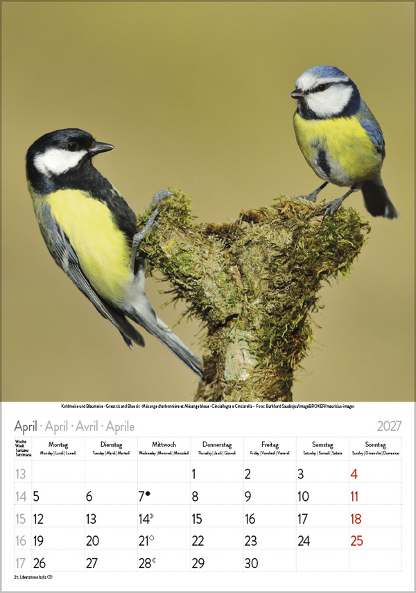 V&ouml;gel 2027, Innenansicht #4