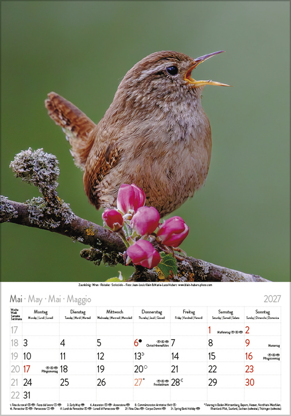 V&ouml;gel 2027, Innenansicht #5