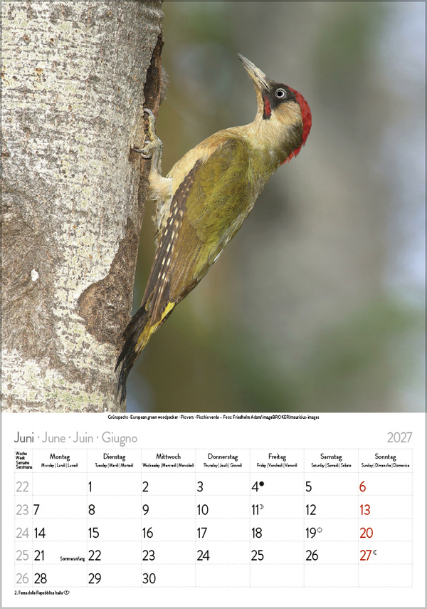 V&ouml;gel 2027, Innenansicht #6