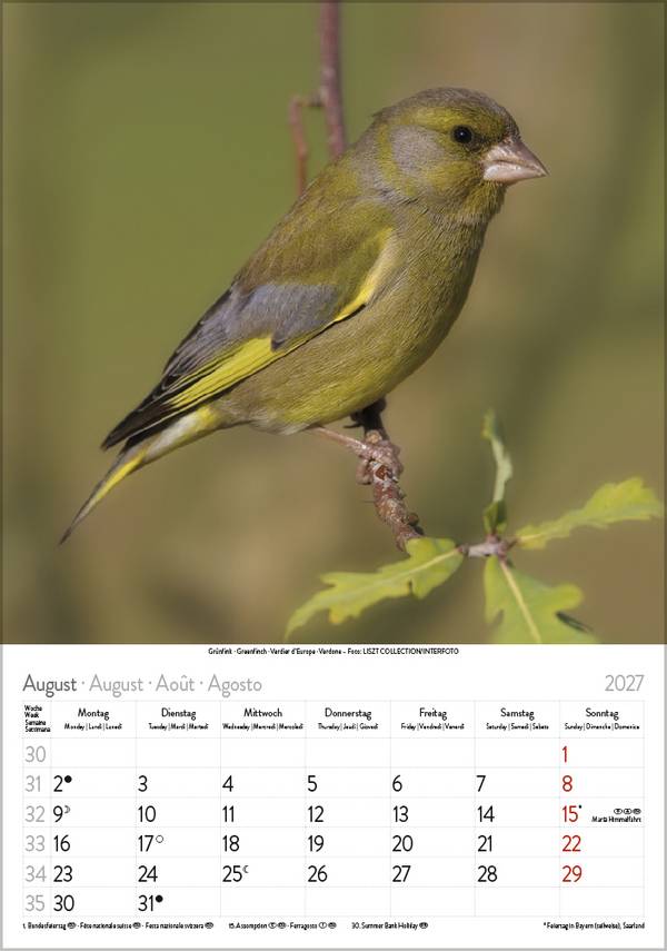 V&ouml;gel 2027, Innenansicht #8