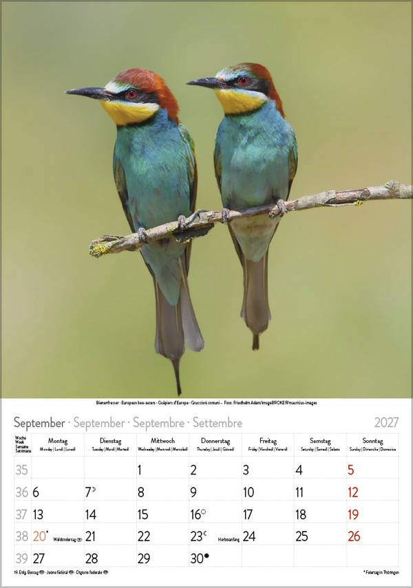 V&ouml;gel 2027, Innenansicht #9