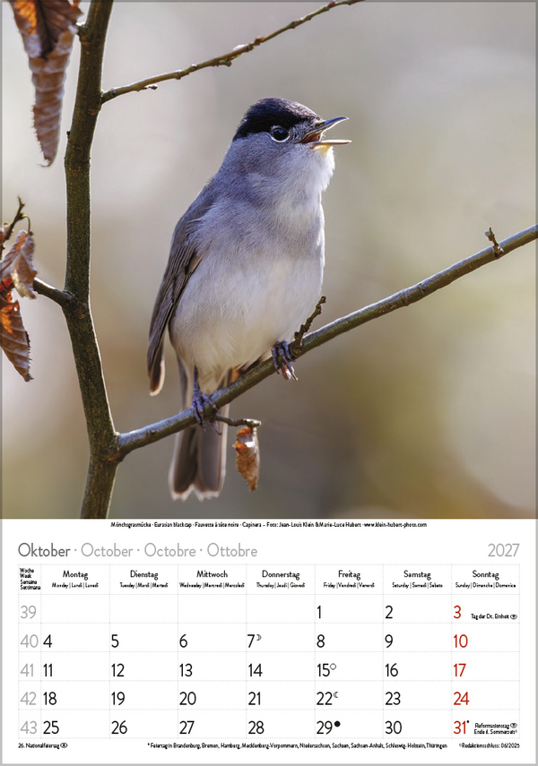 V&ouml;gel 2027, Innenansicht #10