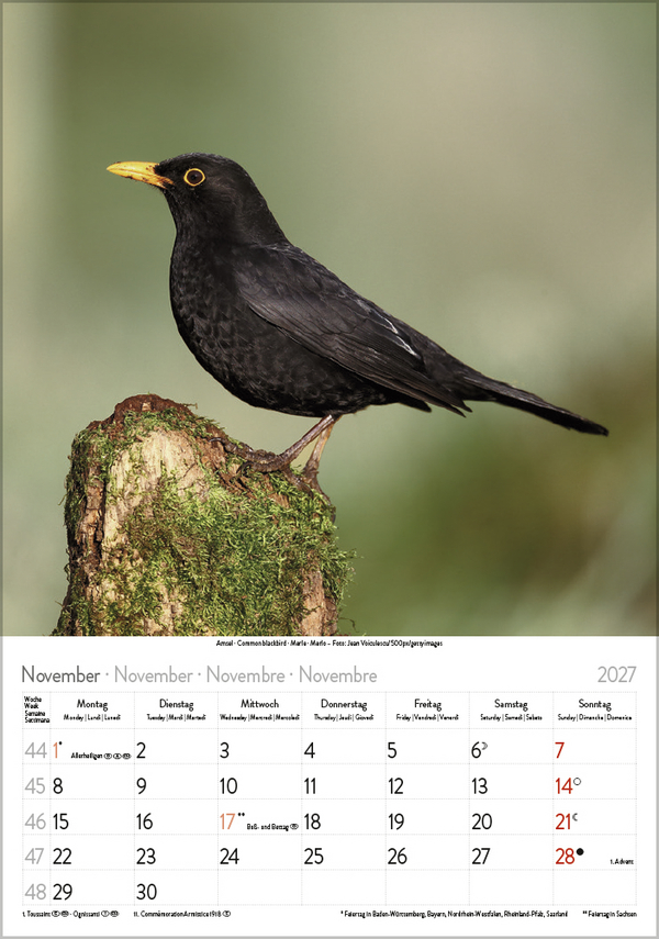 V&ouml;gel 2027, Innenansicht #11