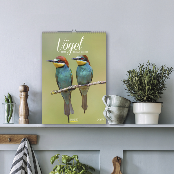 V&ouml;gel 2027, Innenansicht #16