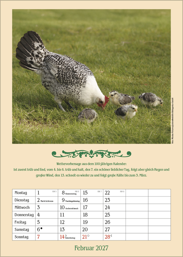 Landleben mit Hundertj&auml;hrigem Kalender 2027, Innenansicht #2