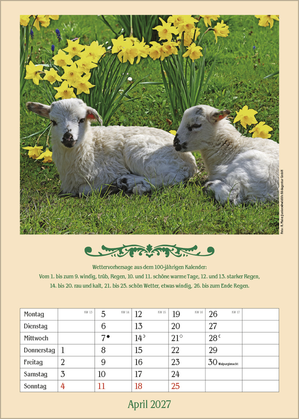 Landleben mit Hundertj&auml;hrigem Kalender 2027, Innenansicht #4