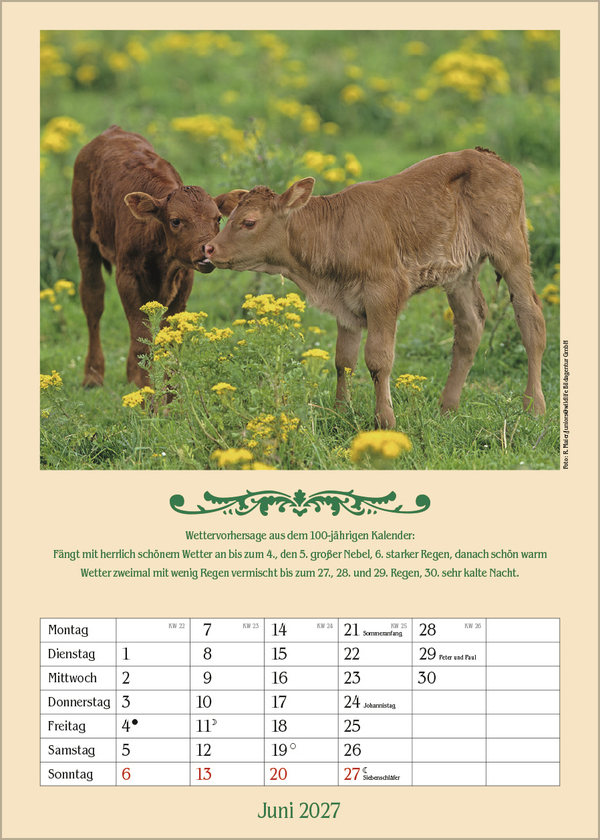 Landleben mit Hundertj&auml;hrigem Kalender 2027, Innenansicht #6