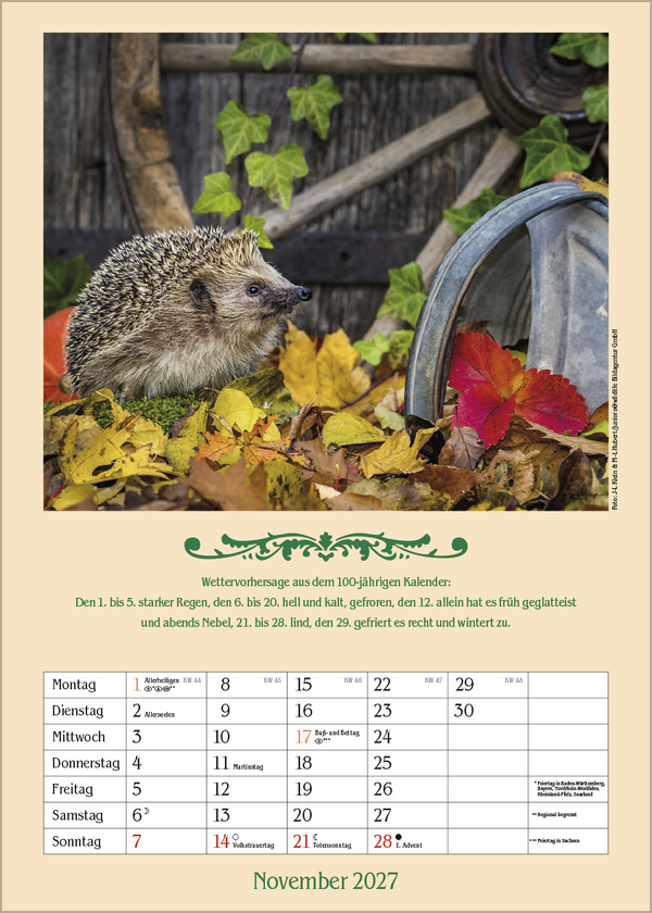 Landleben mit Hundertj&auml;hrigem Kalender 2027, Innenansicht #11