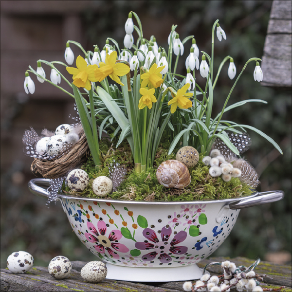 Land & Lust 2027, Innenansicht #2