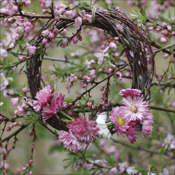 Land & Lust 2027, Innenansicht #3