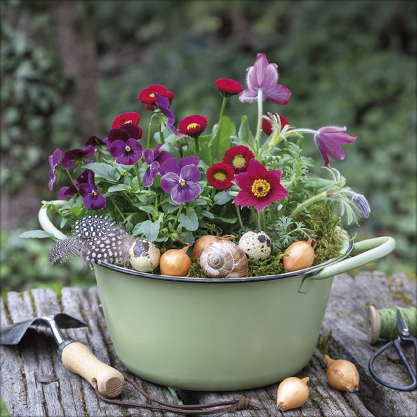 Land & Lust 2027, Innenansicht #4