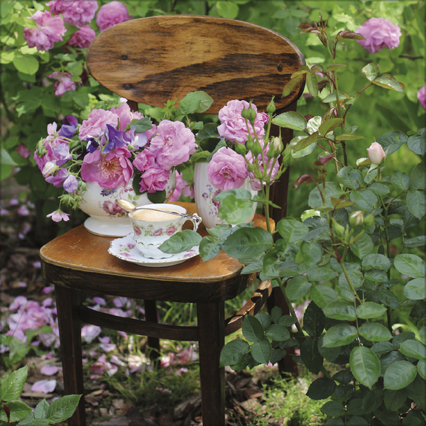 Land & Lust 2027, Innenansicht #5