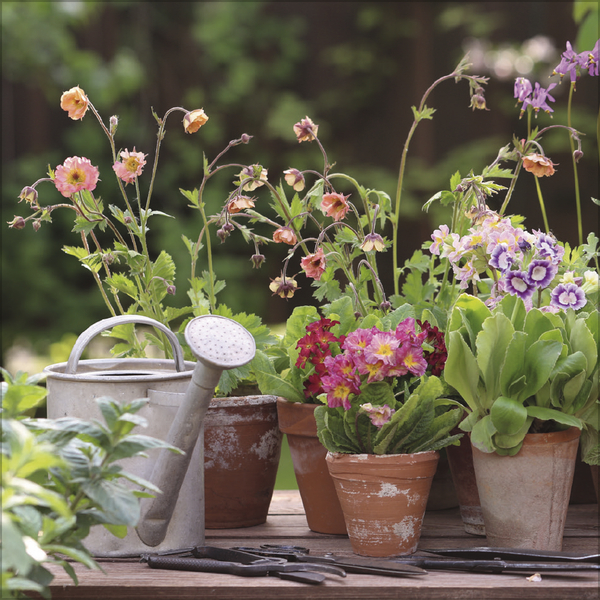 Land & Lust 2027, Innenansicht #6