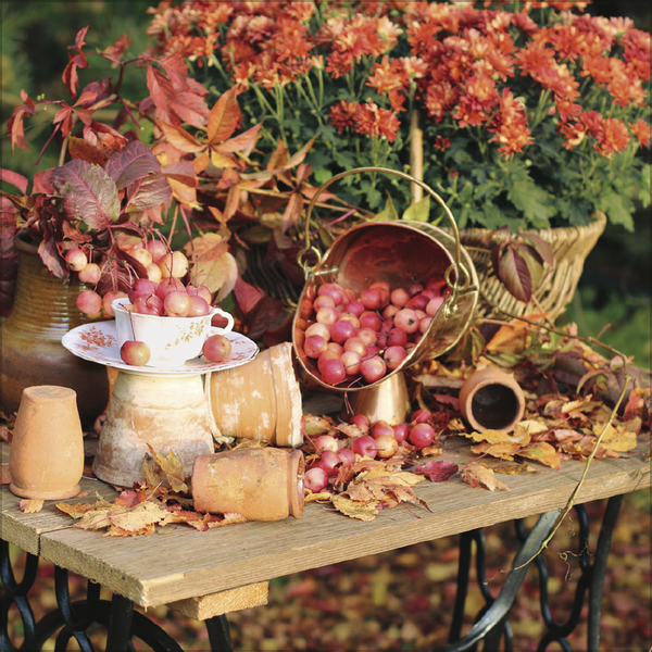 Land & Lust 2027, Innenansicht #10