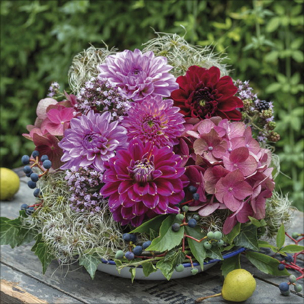 Land & Lust 2027, Innenansicht #11