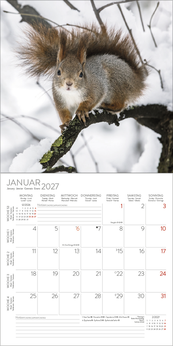 Eichh&ouml;rnchen 2027, Innenansicht #1