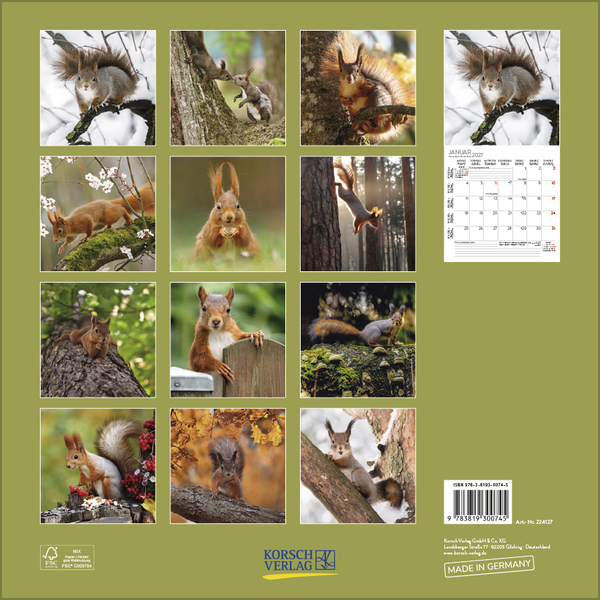 Eichh&ouml;rnchen 2027, Innenansicht #13