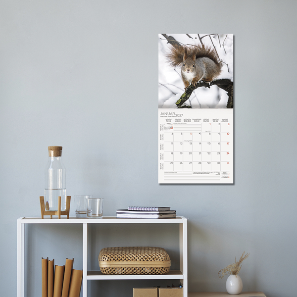 Eichh&ouml;rnchen 2027, Innenansicht #16