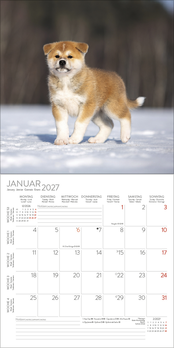 Dogs 2027, Innenansicht #1